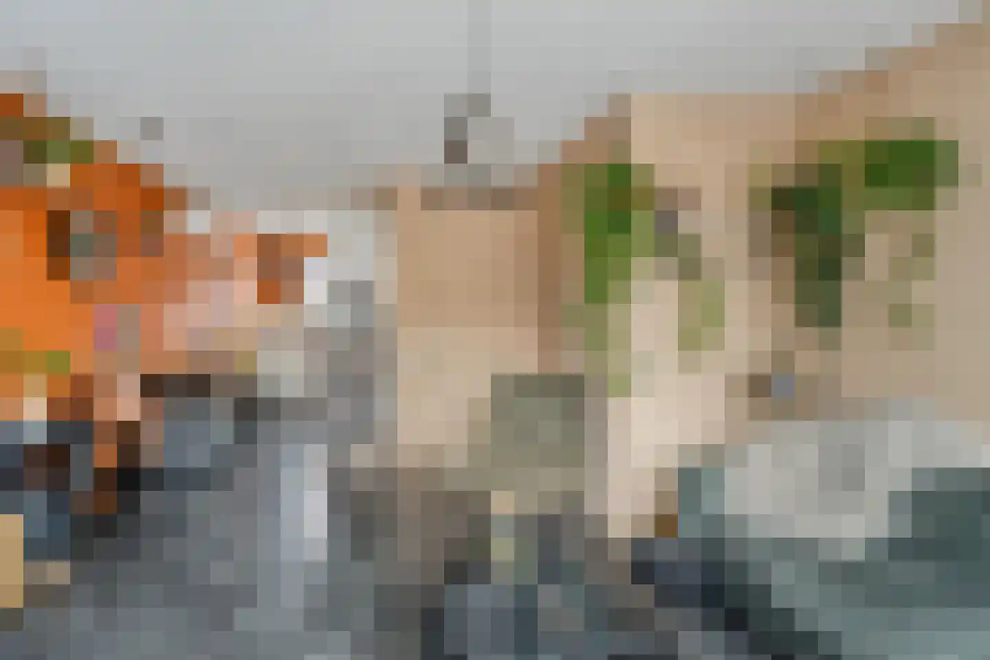 Bronforel 11 Nieuwleusen thumbnail 13