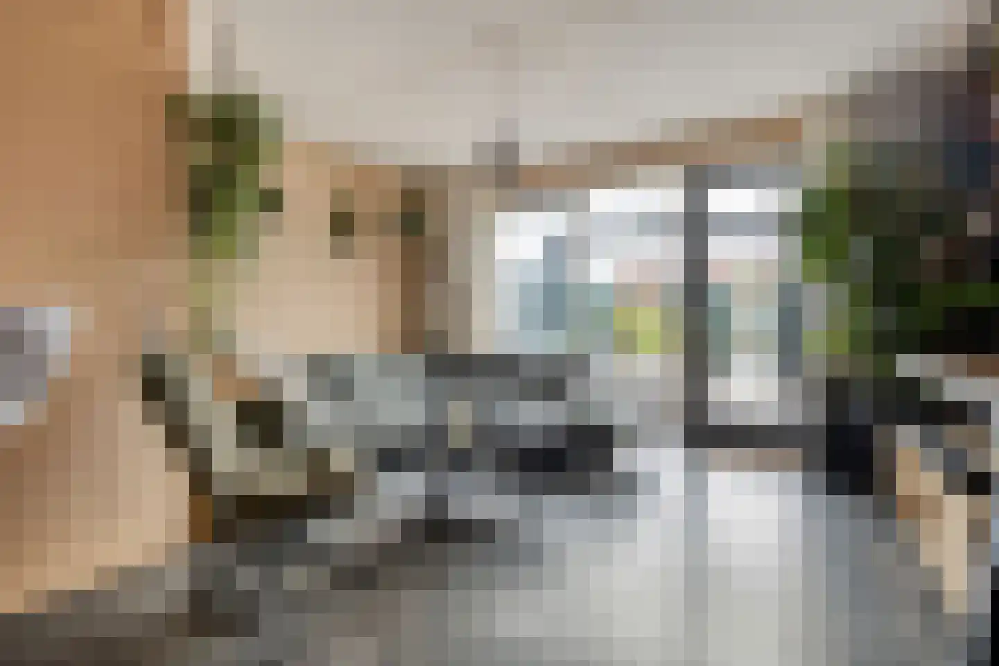 Bronforel 11 Nieuwleusen thumbnail 15