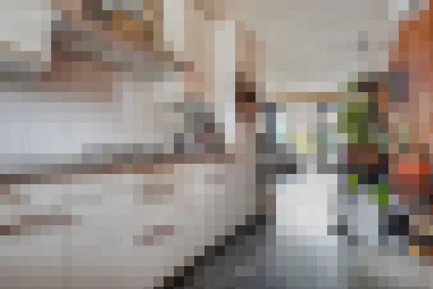 Bronforel 11 Nieuwleusen thumbnail 16