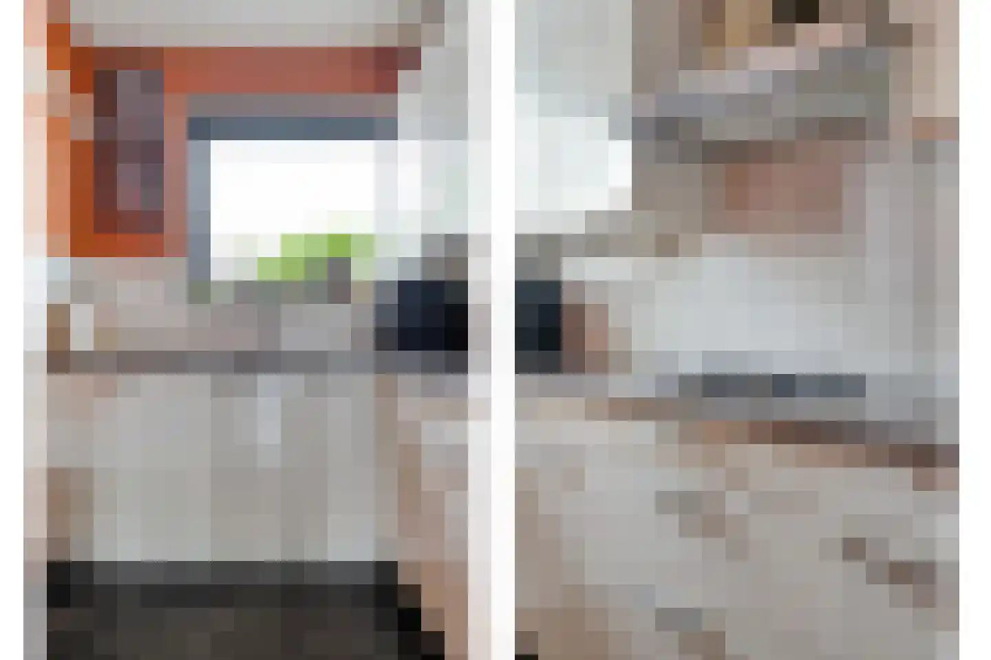 Bronforel 11 Nieuwleusen thumbnail 17