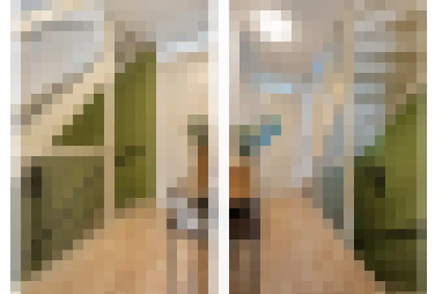 Bronforel 11 Nieuwleusen thumbnail 18