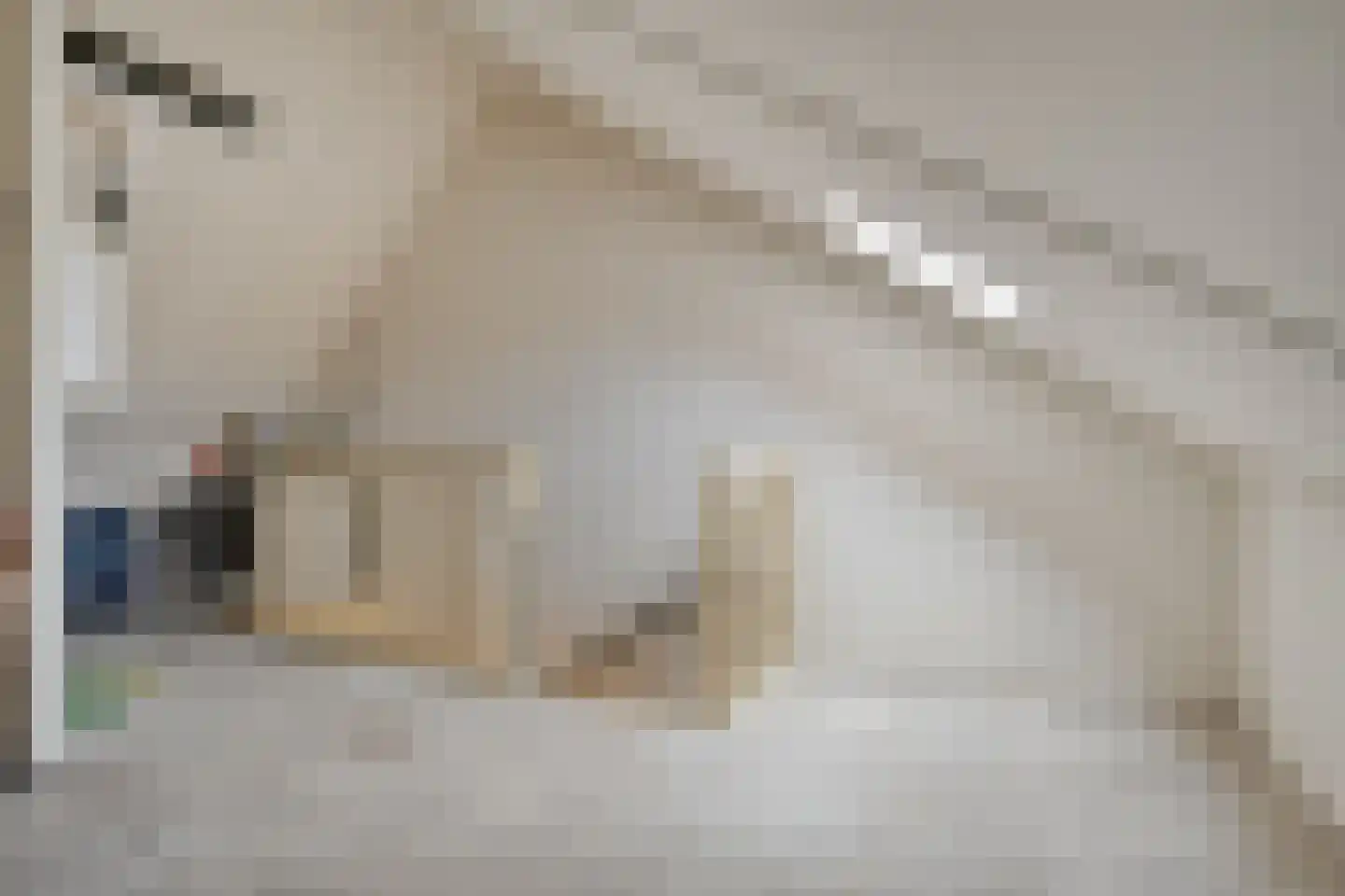 Bronforel 11 Nieuwleusen thumbnail 24