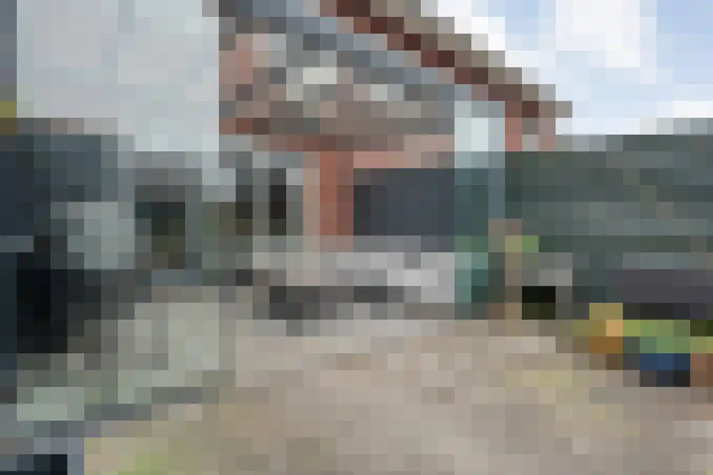 Bronforel 11 Nieuwleusen thumbnail 26