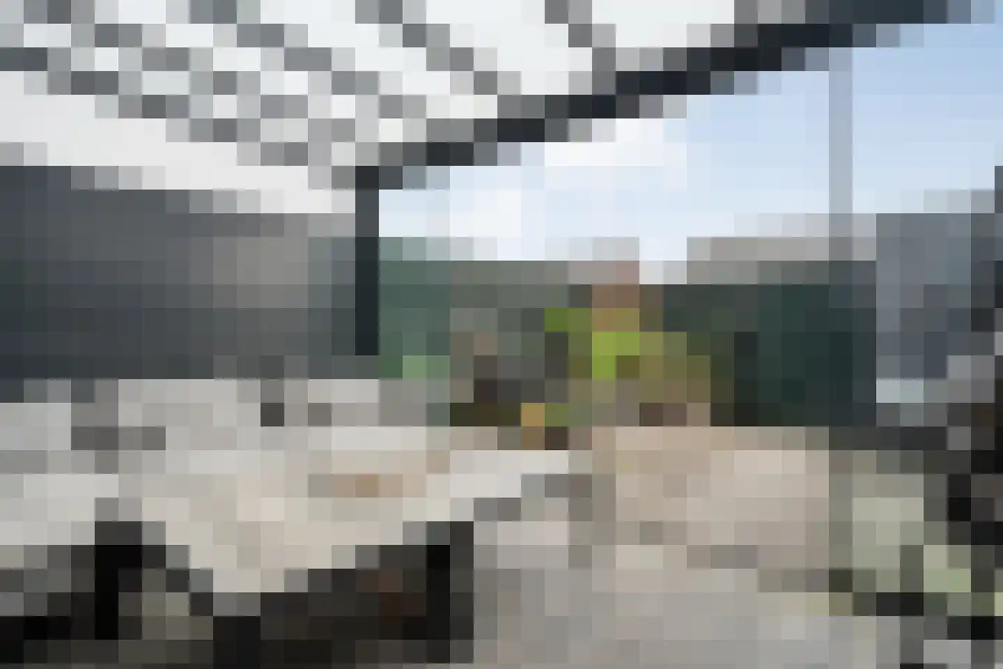 Bronforel 11 Nieuwleusen thumbnail 27