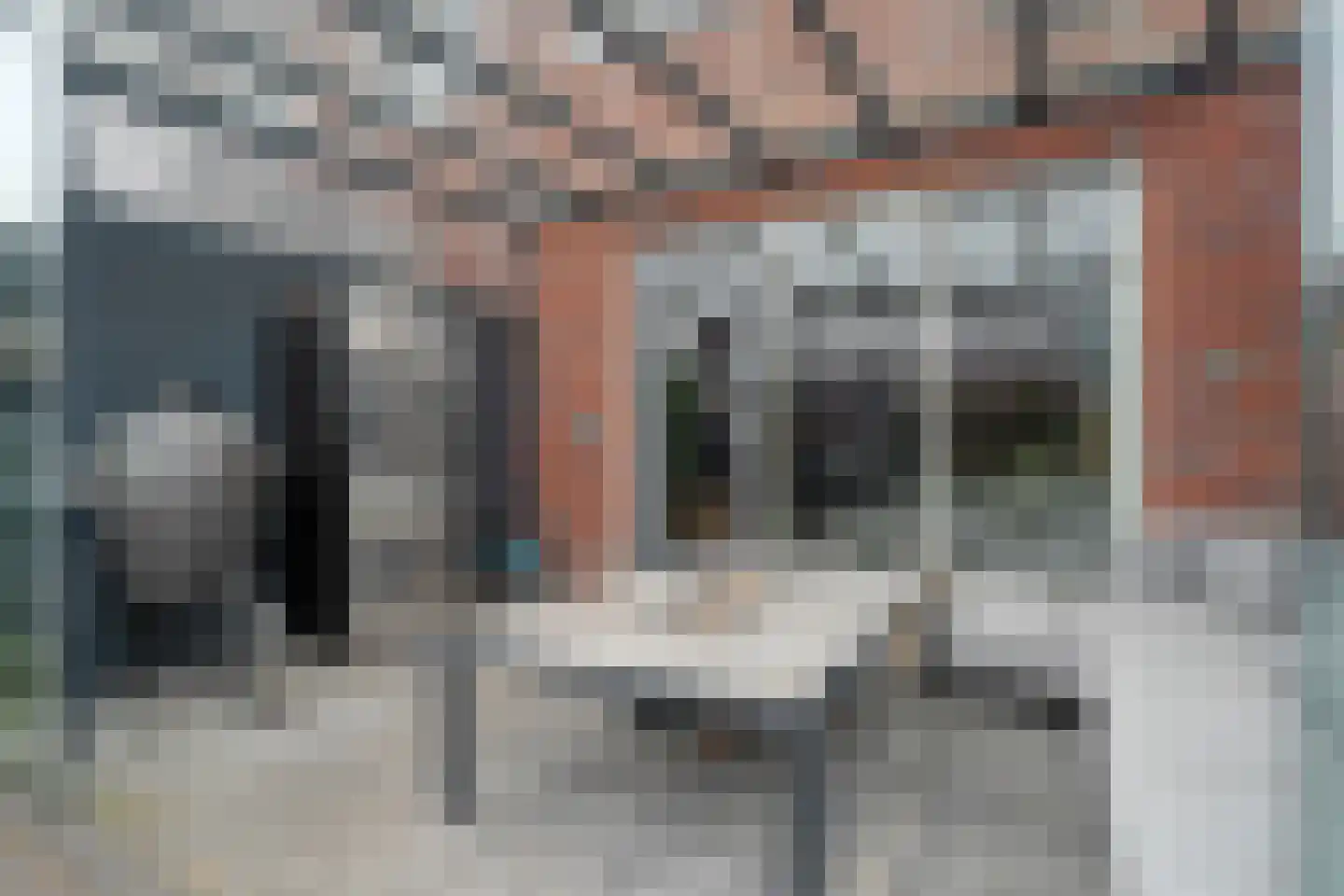 Bronforel 11 Nieuwleusen thumbnail 28