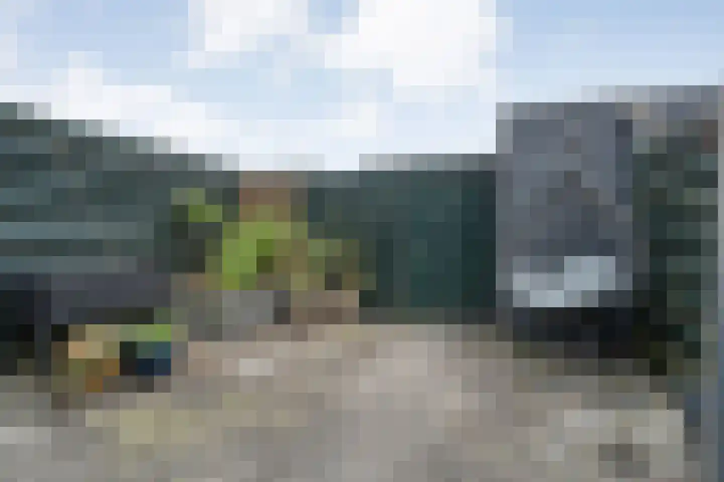 Bronforel 11 Nieuwleusen thumbnail 29