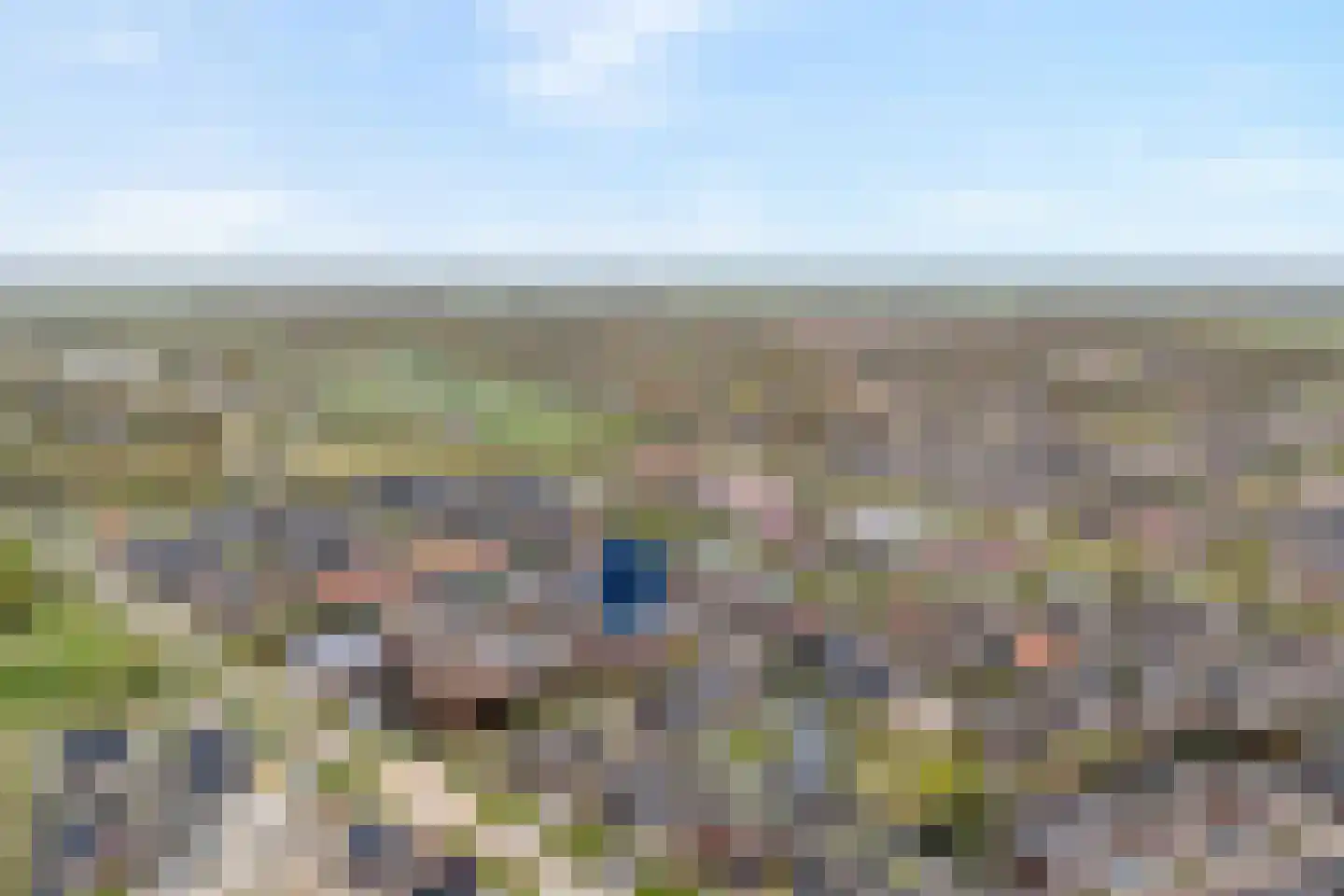 Bronforel 11 Nieuwleusen thumbnail 7