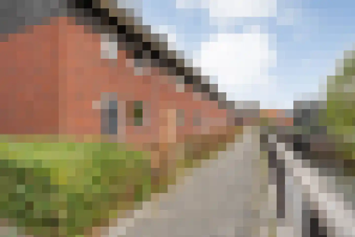 Bronforel 11 Nieuwleusen thumbnail 8