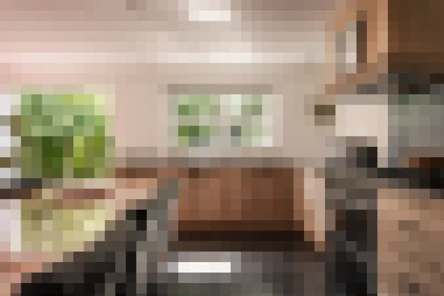 Bronforel 15 Leiden thumbnail 12