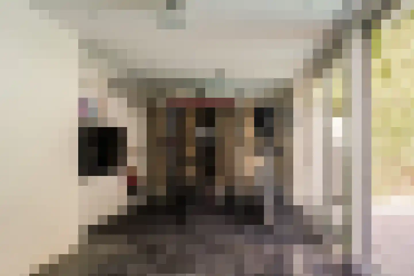 Bronforel 15 Leiden thumbnail 21