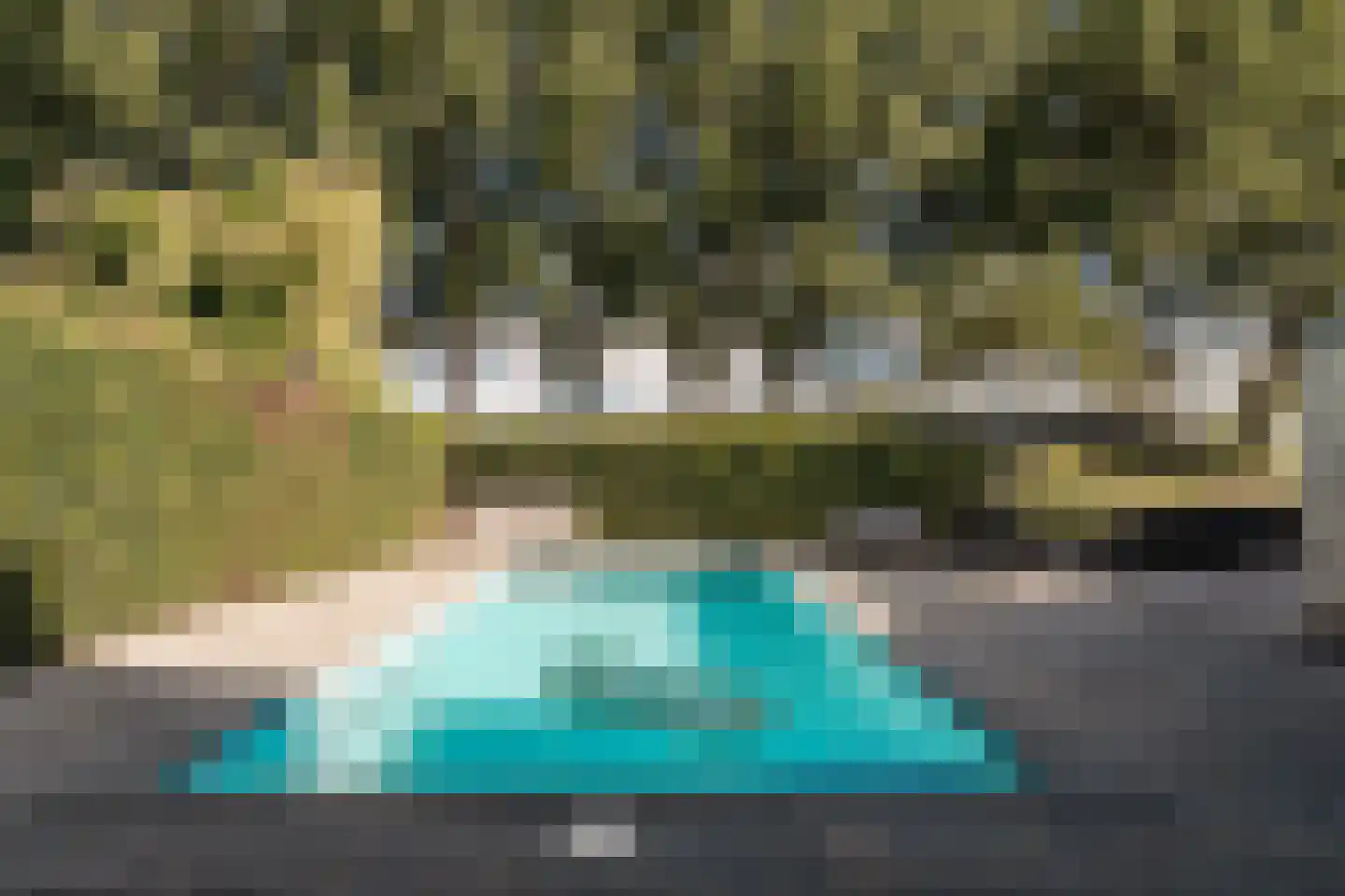 Bronforel 15 Leiden thumbnail 22