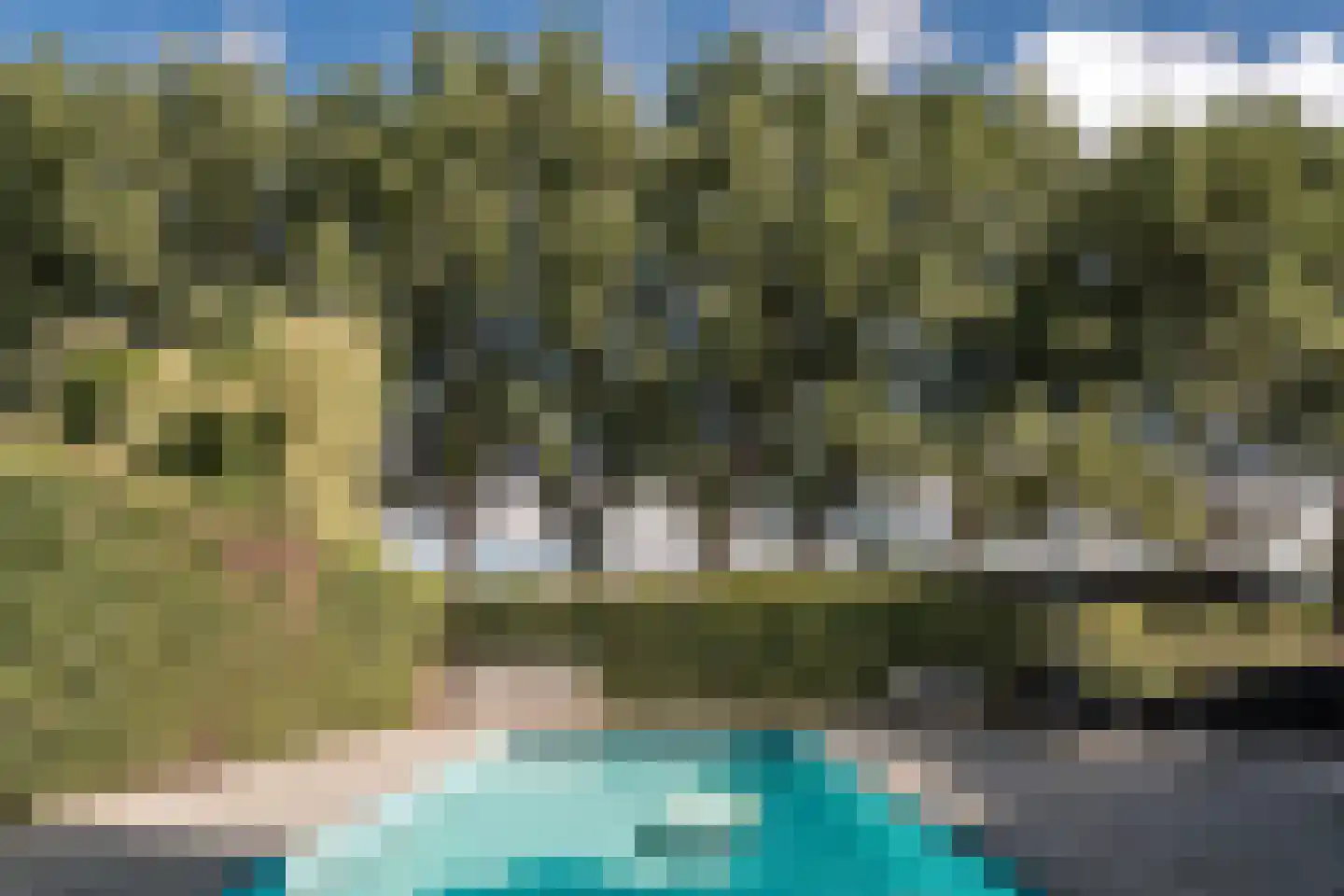 Bronforel 15 Leiden thumbnail 23