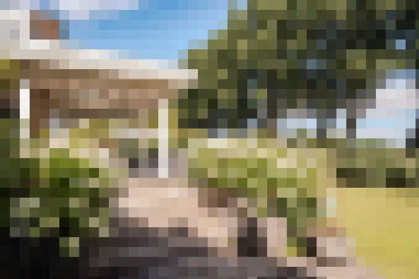 Bronforel 15 Leiden thumbnail 24