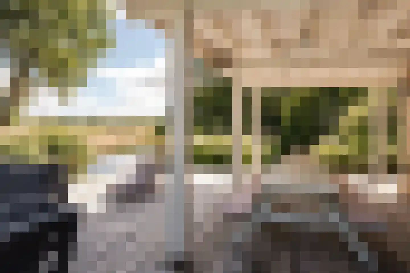 Bronforel 15 Leiden thumbnail 25