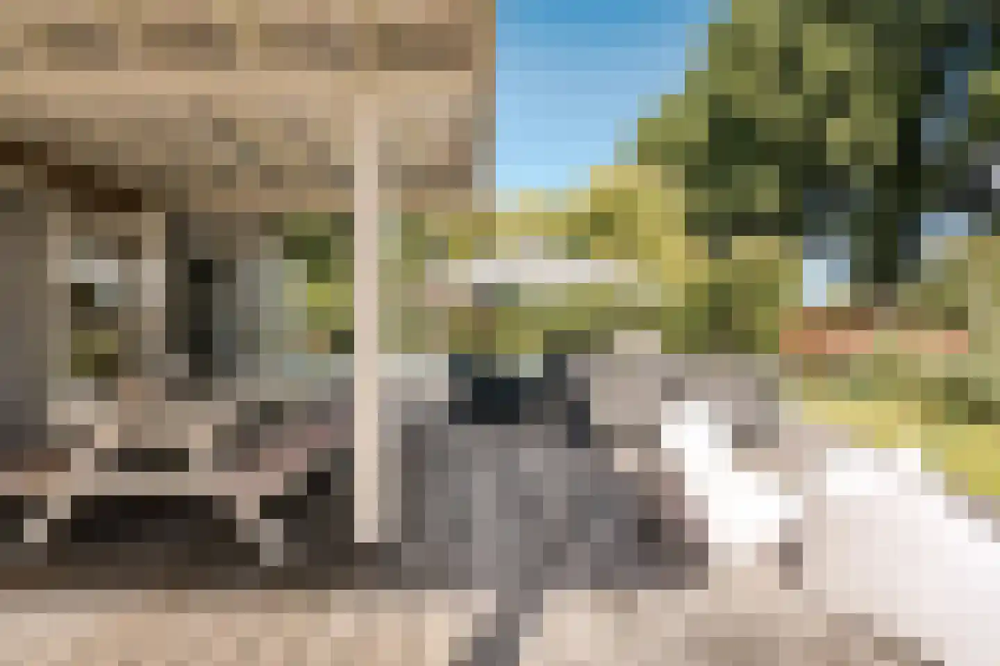 Bronforel 15 Leiden thumbnail 26