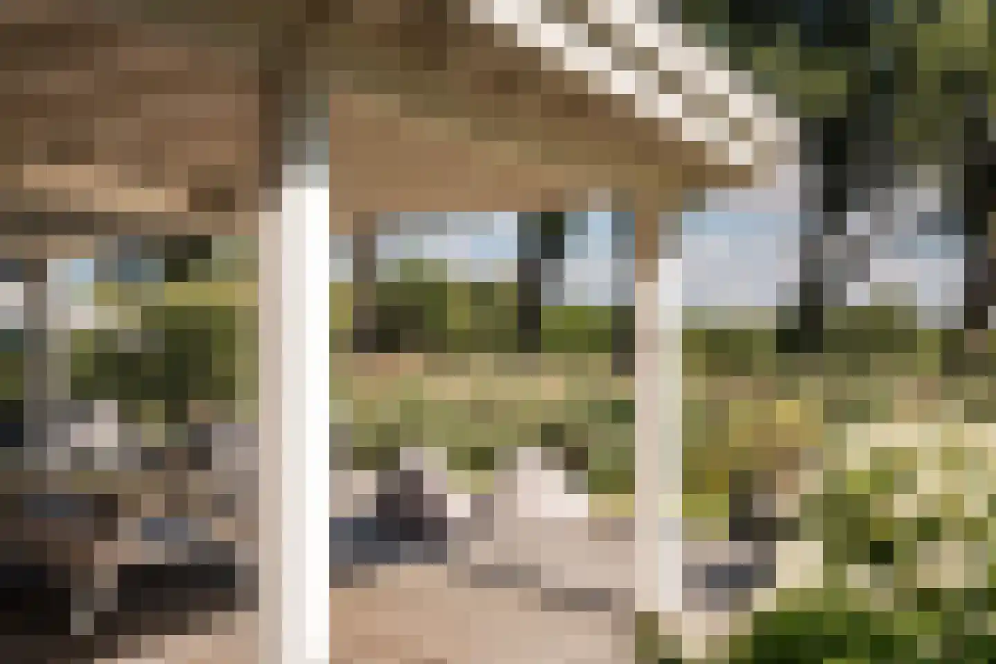 Bronforel 15 Leiden thumbnail 27