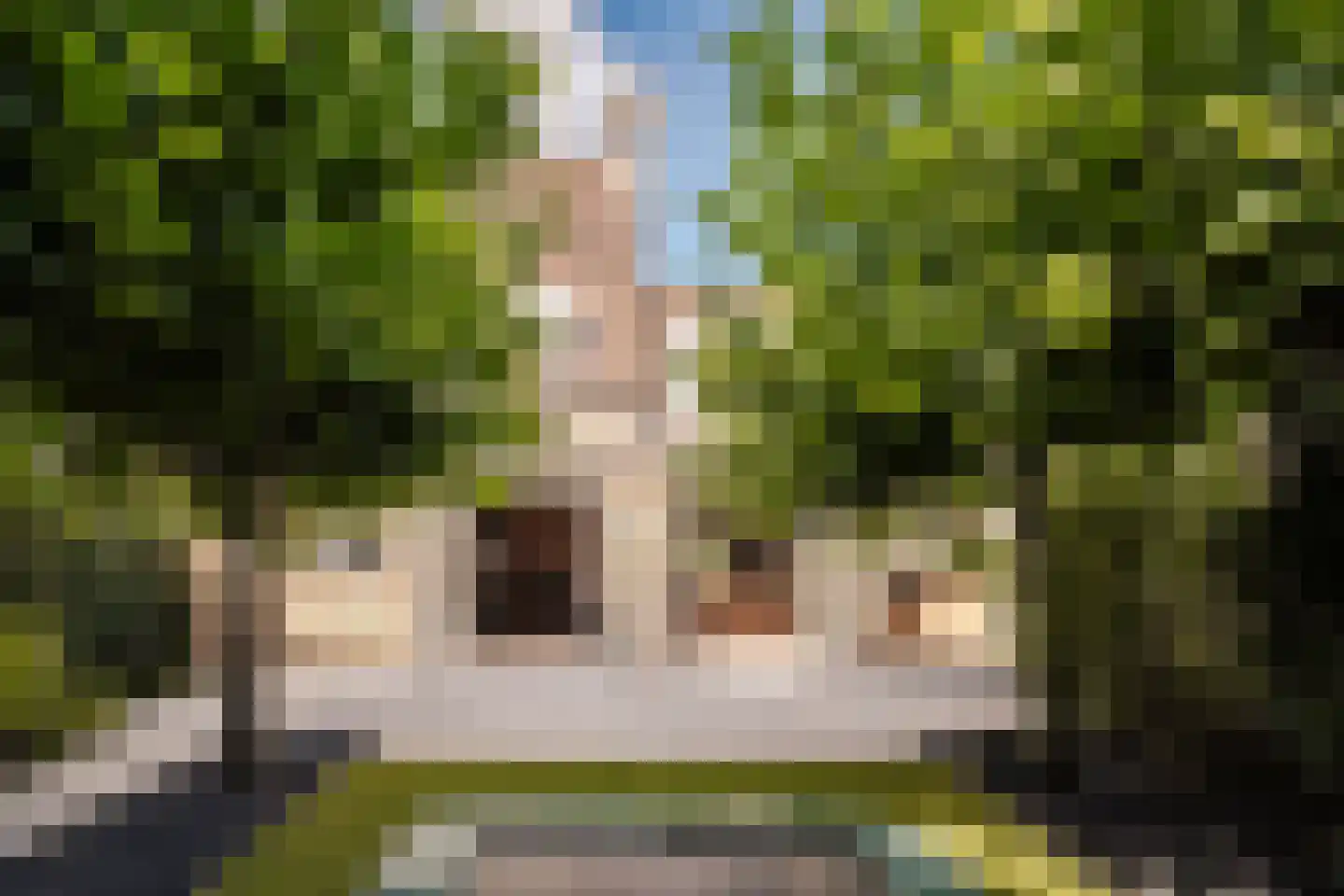 Bronforel 15 Leiden thumbnail 28