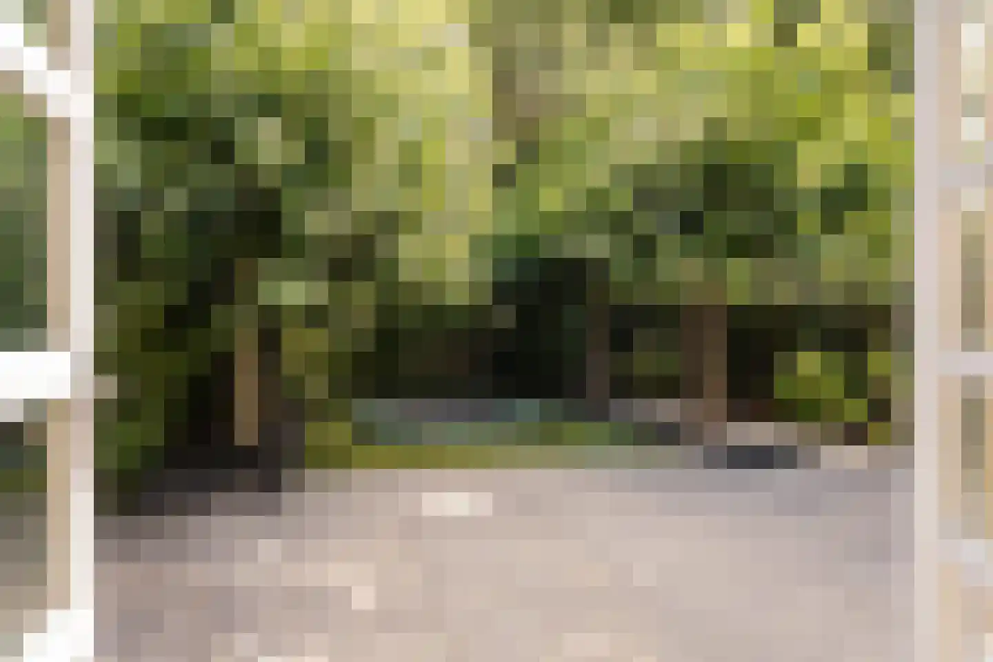 Bronforel 15 Leiden thumbnail 29