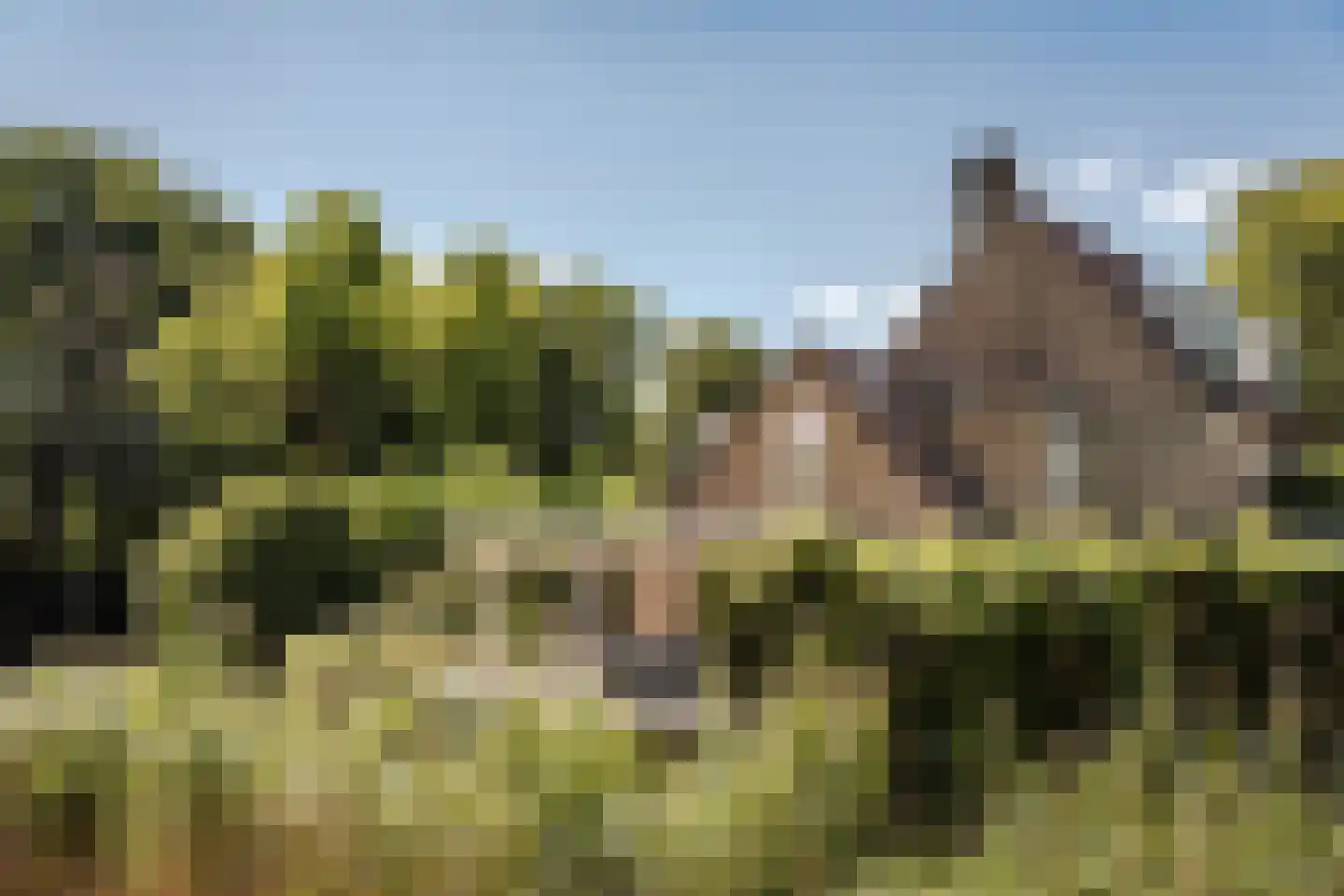 Bronforel 15 Leiden thumbnail 30
