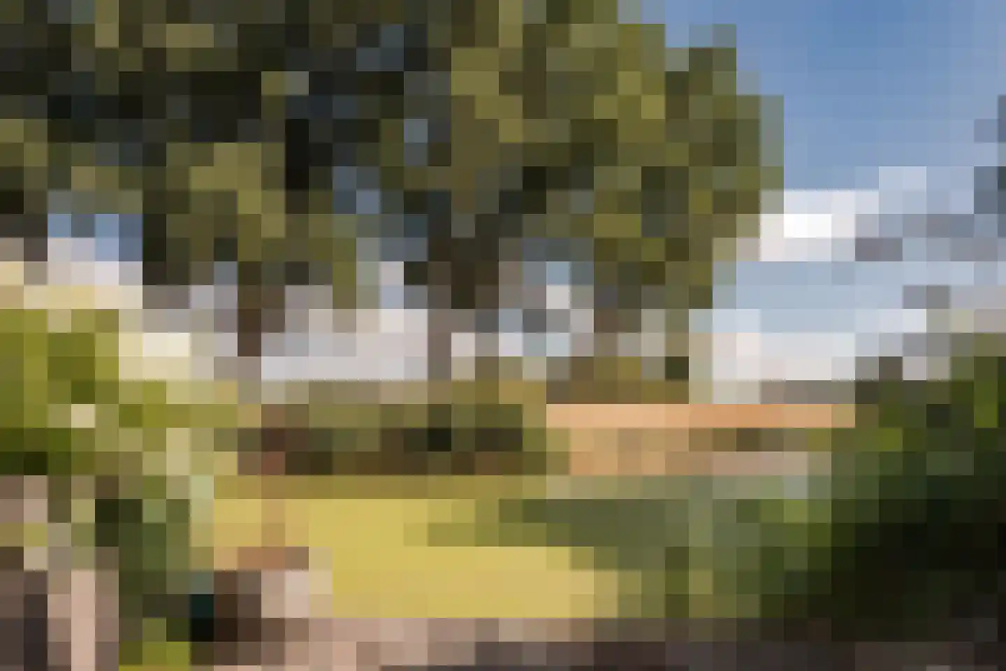 Bronforel 15 Leiden thumbnail 31