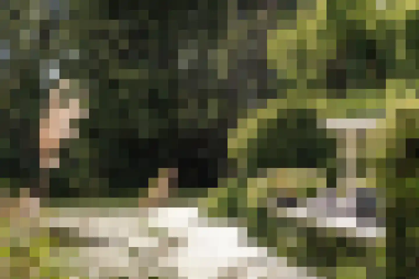 Bronforel 15 Leiden thumbnail 32