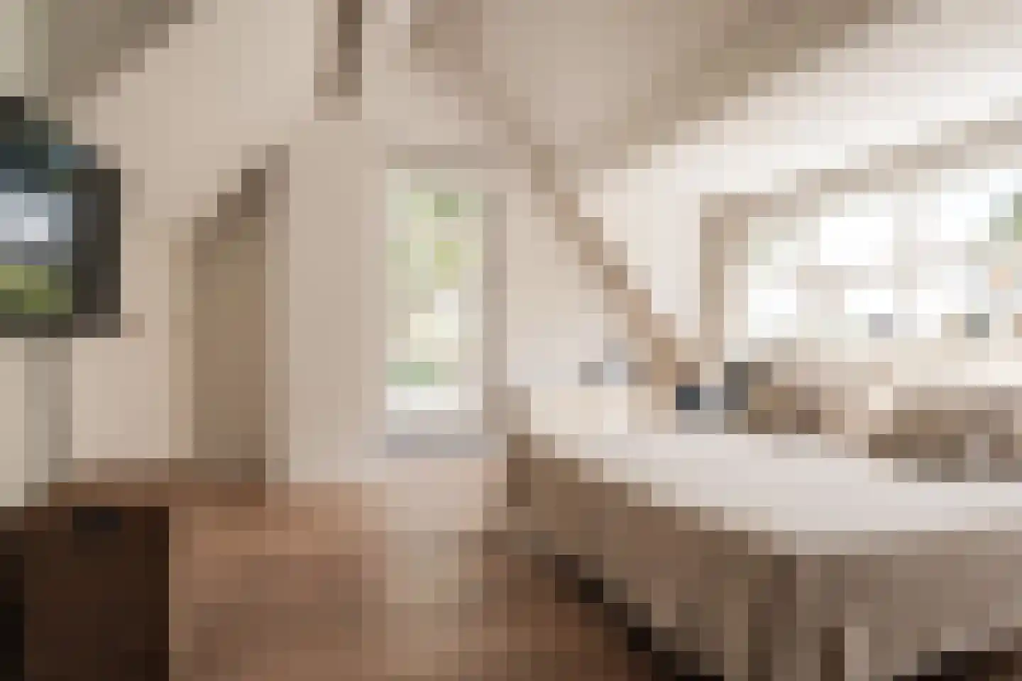 Bronforel 15 Leiden thumbnail 33