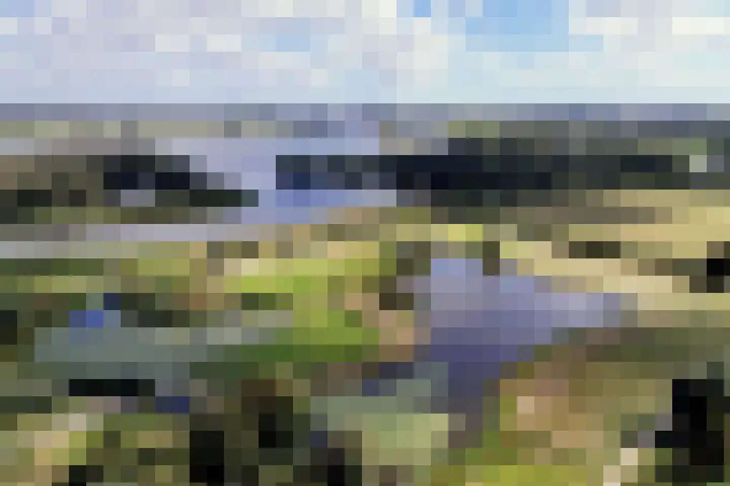 Bronforel 15 Leiden thumbnail 4