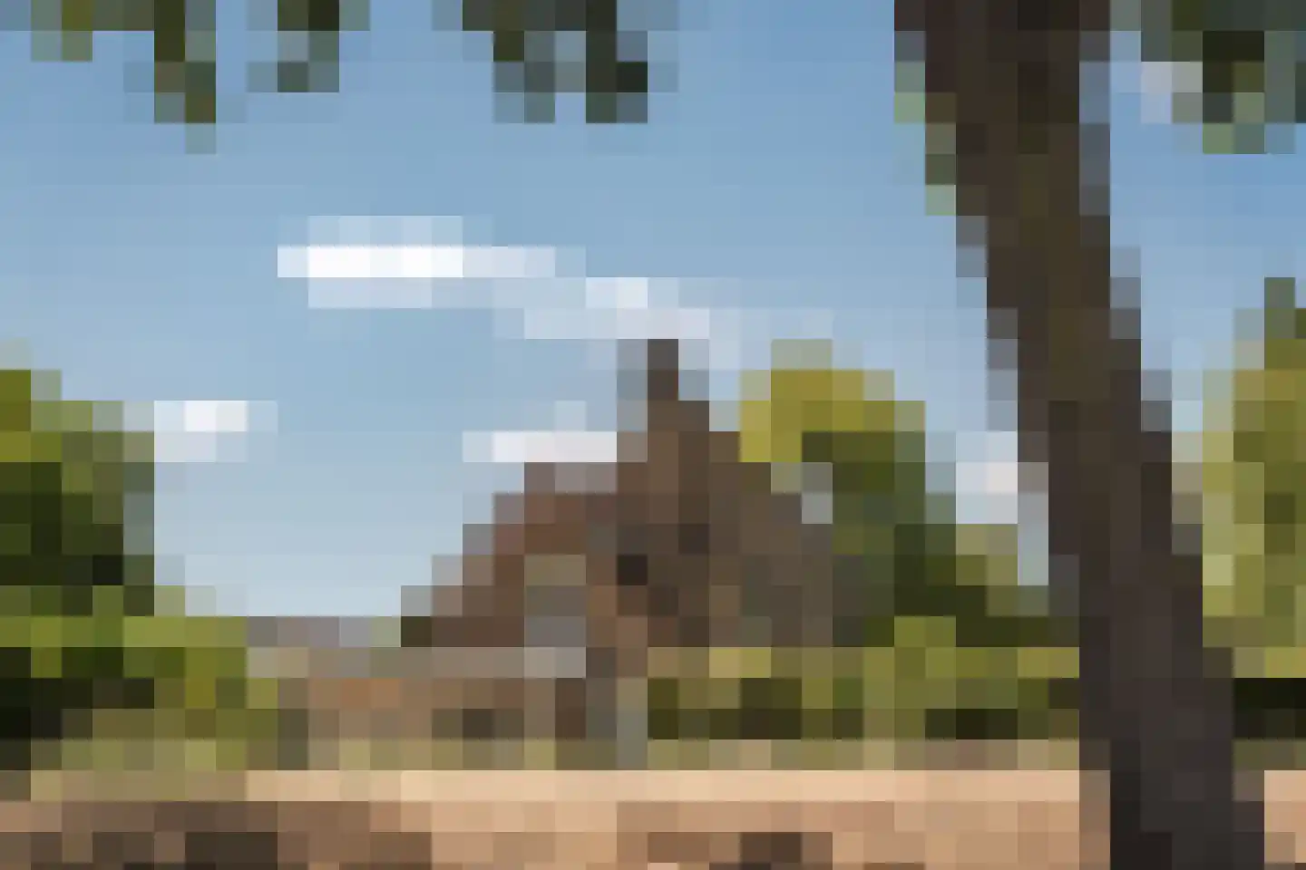Bronforel 15 Leiden thumbnail 48