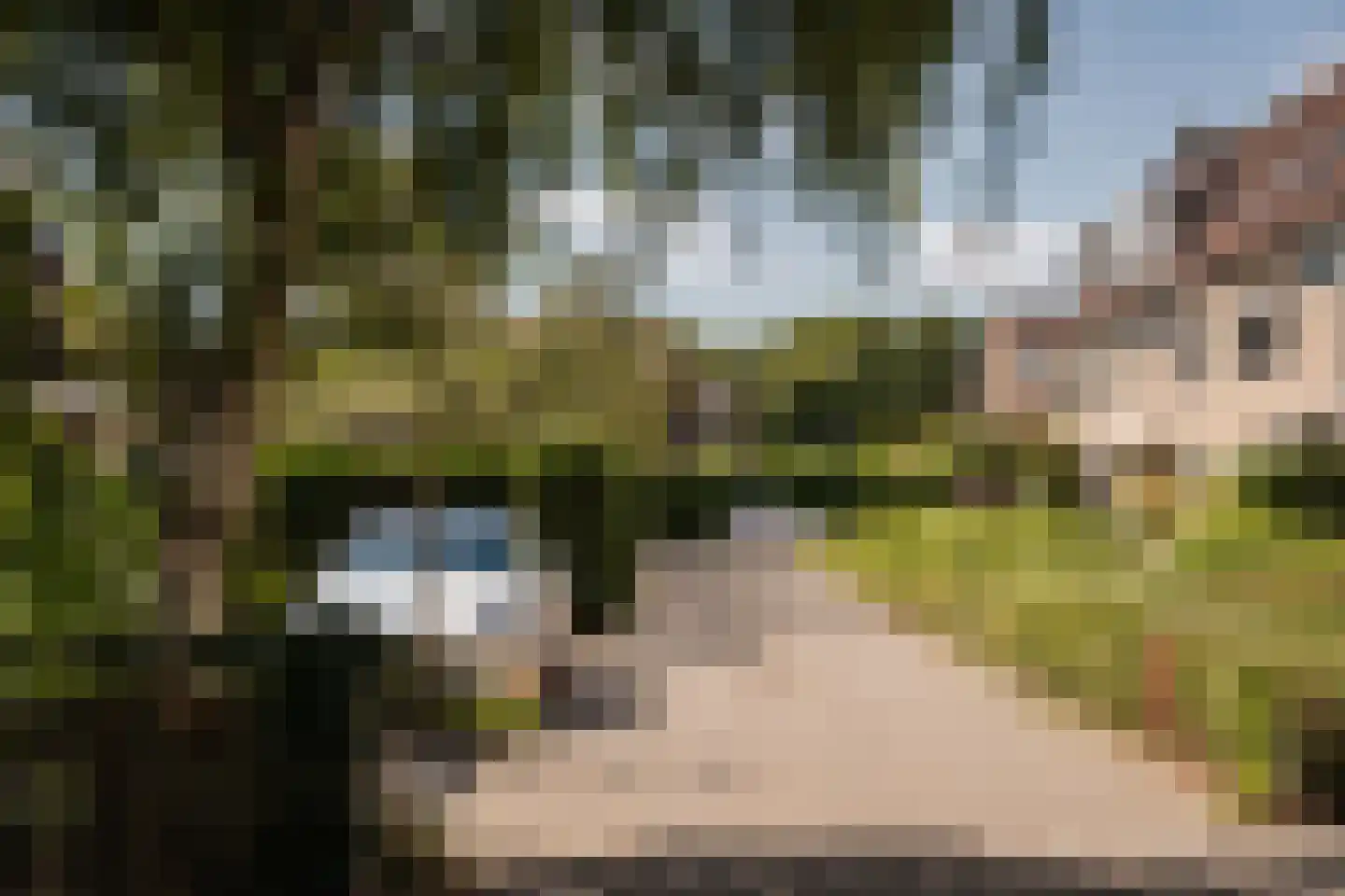Bronforel 15 Leiden thumbnail 49