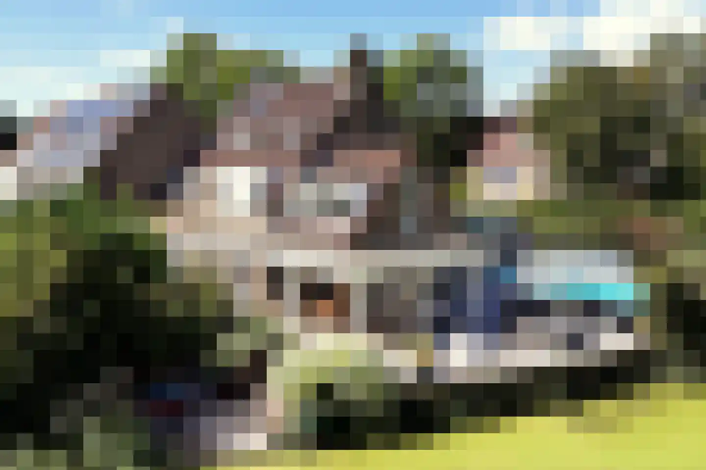 Bronforel 15 Leiden thumbnail 5