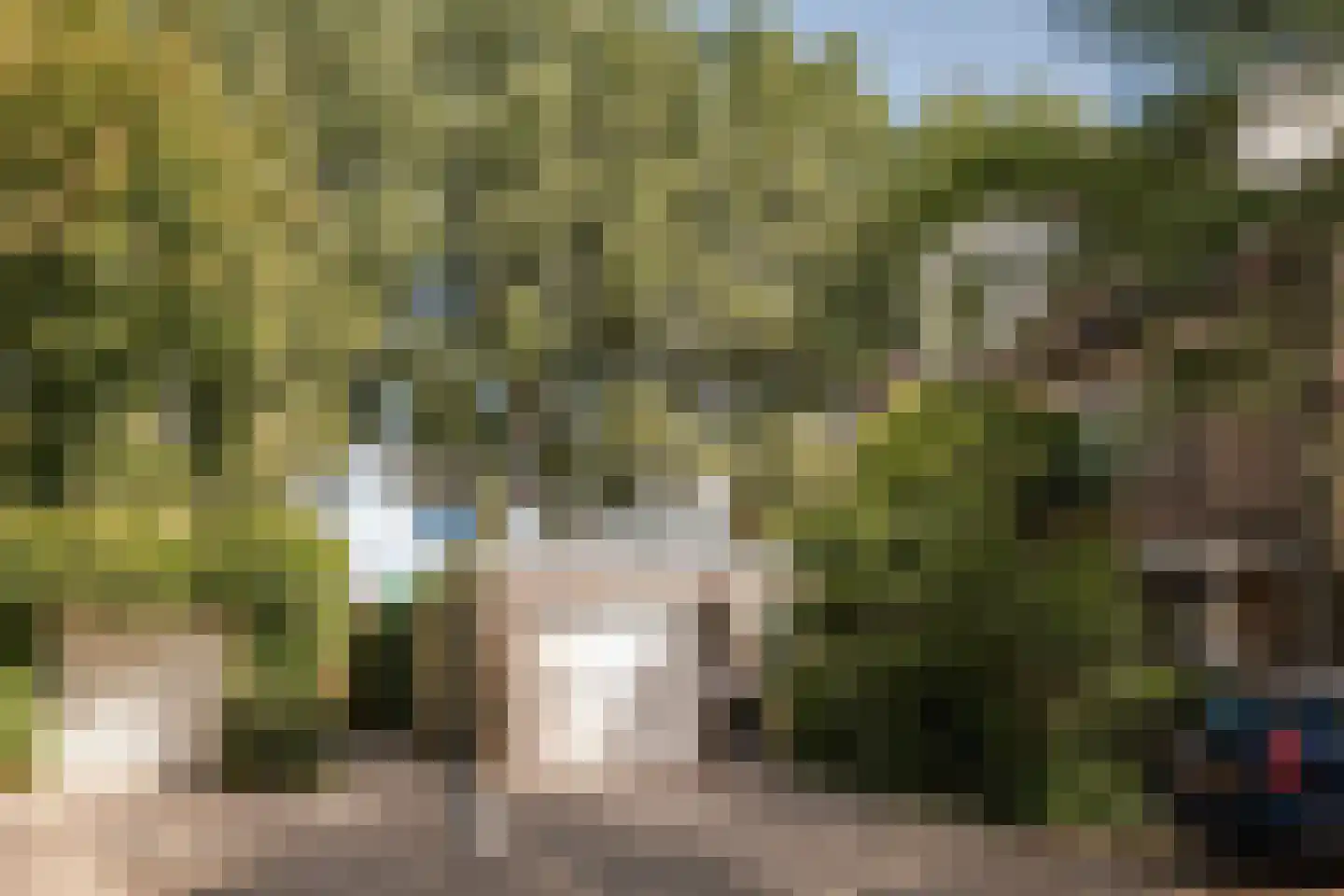 Bronforel 15 Leiden thumbnail 50