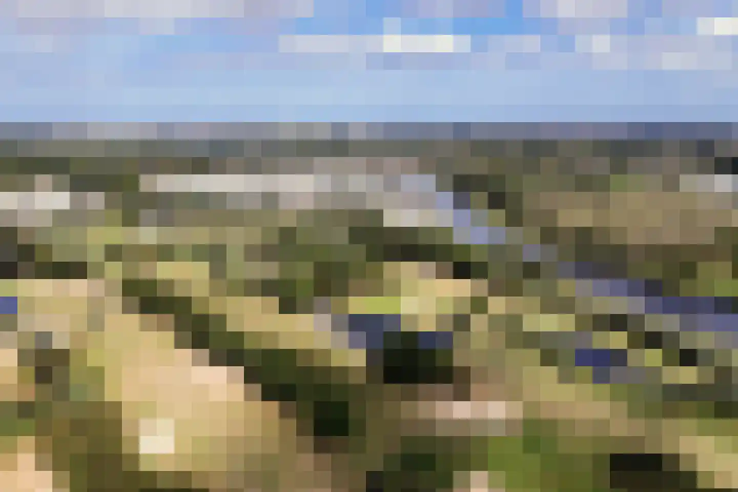 Bronforel 15 Leiden thumbnail 53