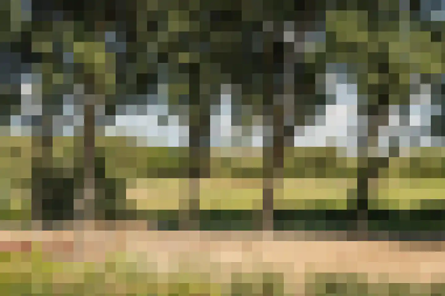 Bronforel 15 Leiden thumbnail 54
