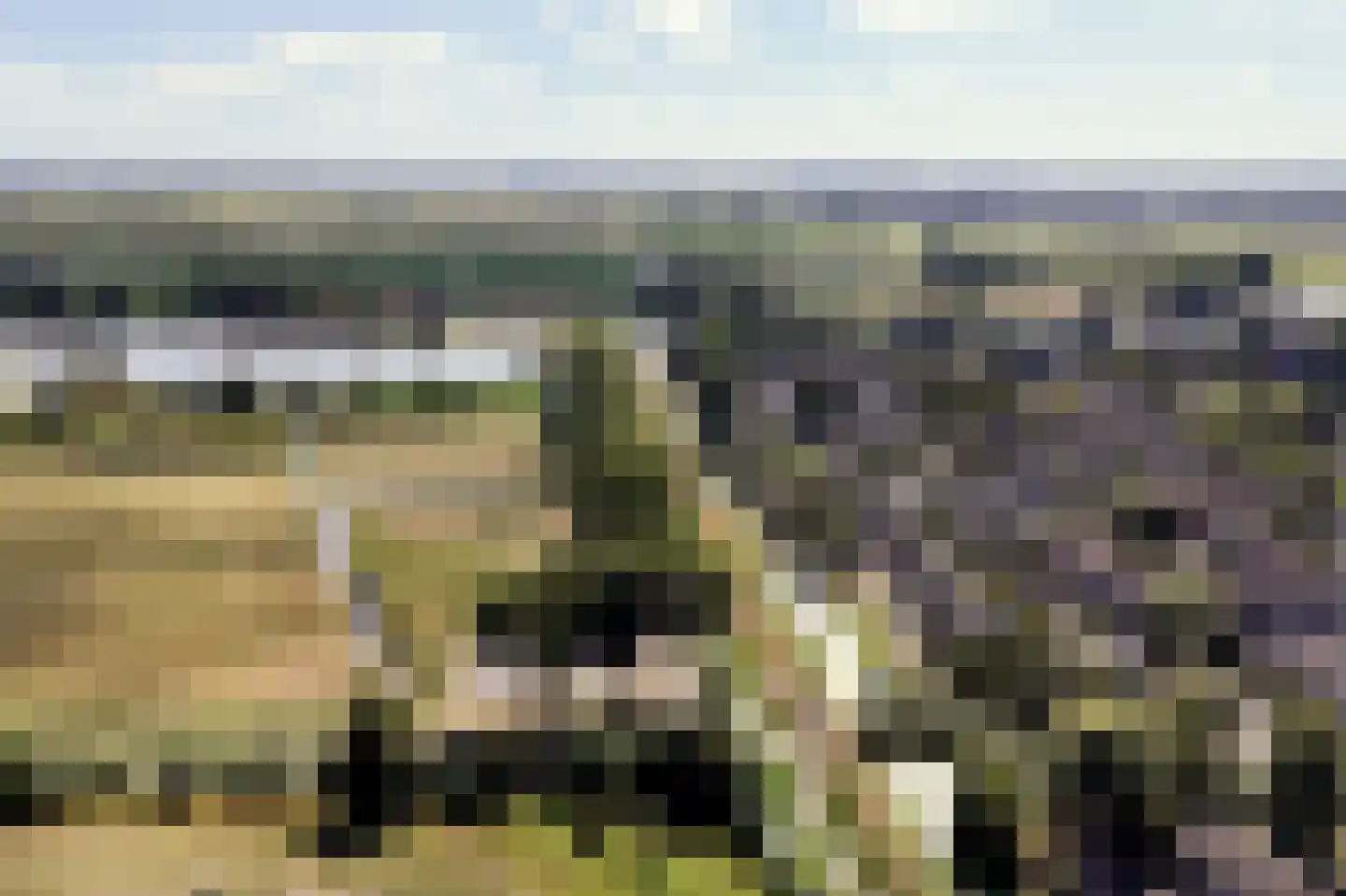 Bronforel 15 Leiden thumbnail 55