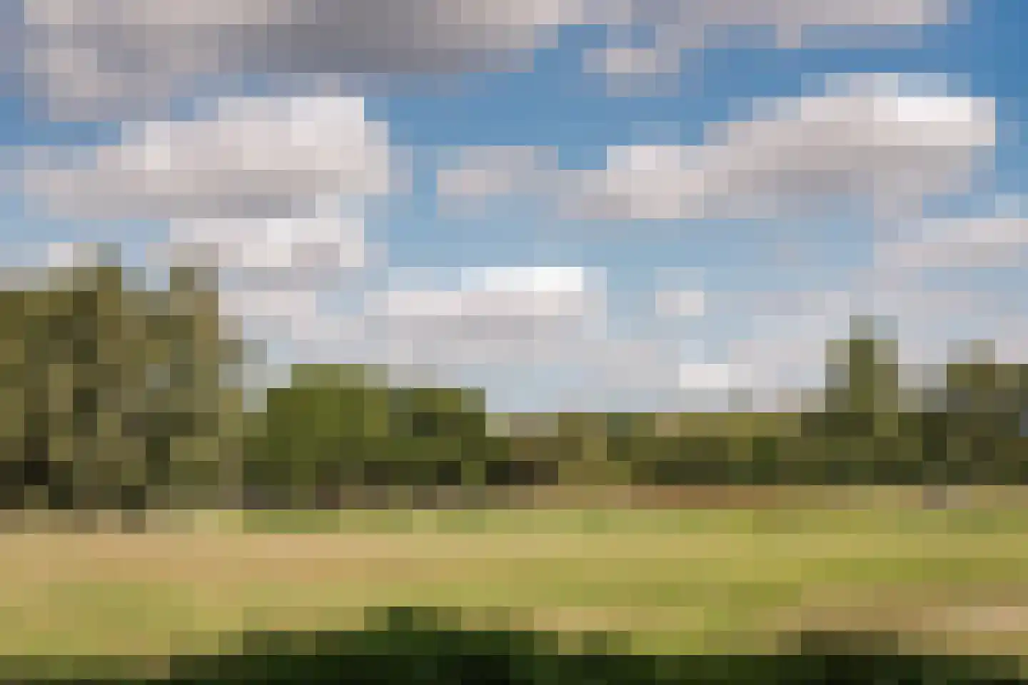 Bronforel 15 Leiden thumbnail 56