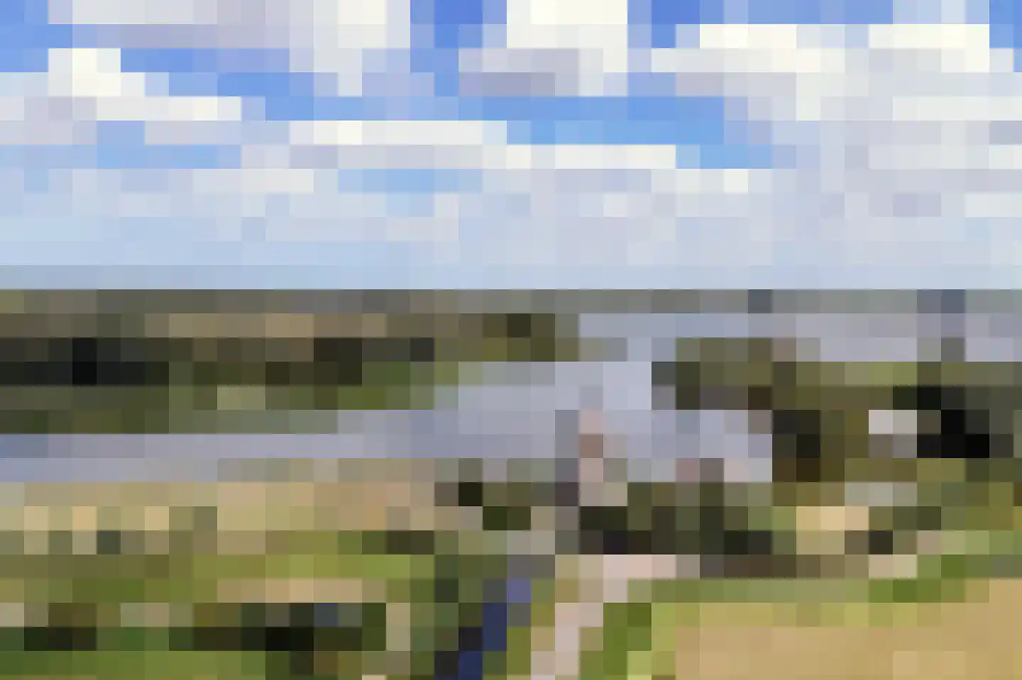 Bronforel 15 Leiden thumbnail 58