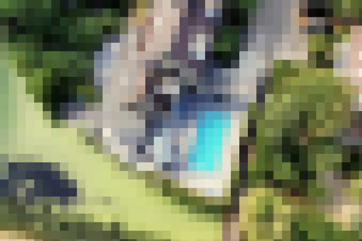 Bronforel 15 Leiden thumbnail 6