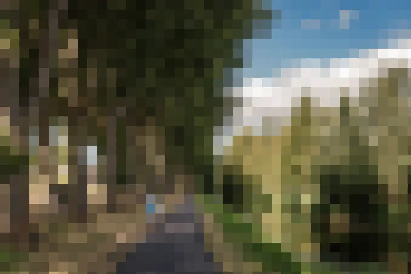 Bronforel 15 Leiden thumbnail 60