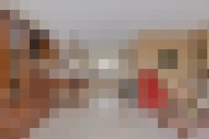 Bronforel 16 Leiden thumbnail 10