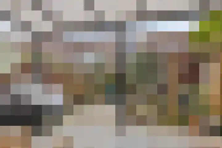 Bronforel 16 Leiden thumbnail 18