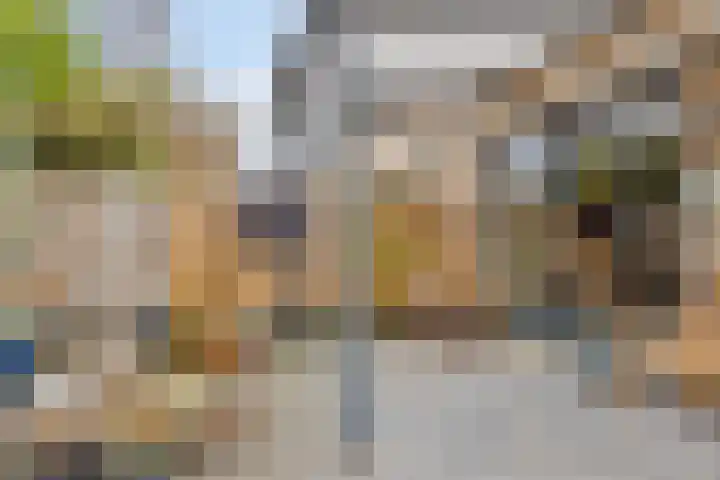 Bronforel 16 Leiden thumbnail 20