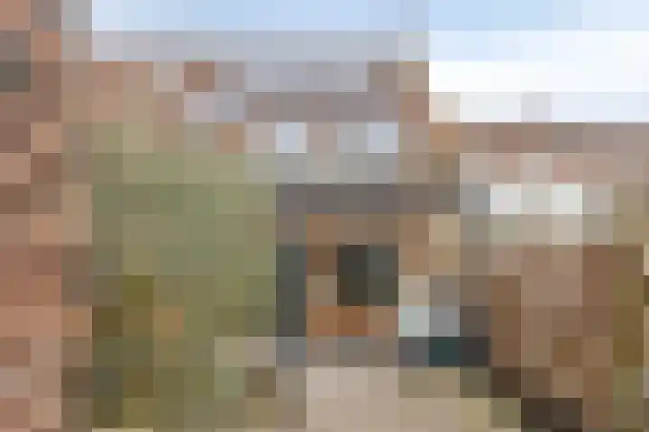 Bronforel 16 Leiden thumbnail 22