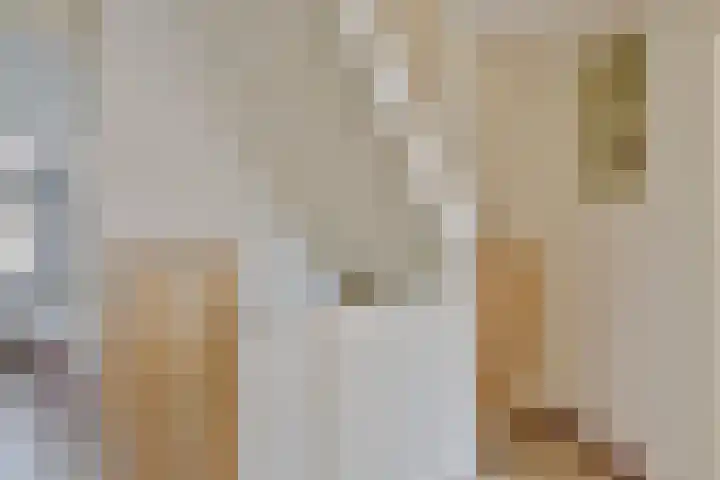 Bronforel 16 Leiden thumbnail 23