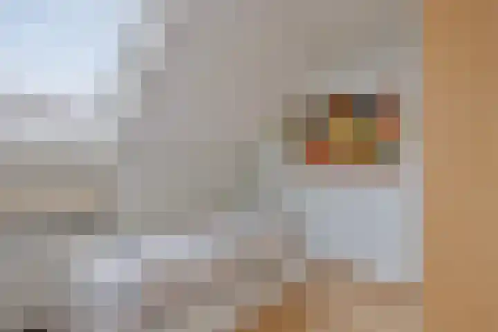 Bronforel 16 Leiden thumbnail 27