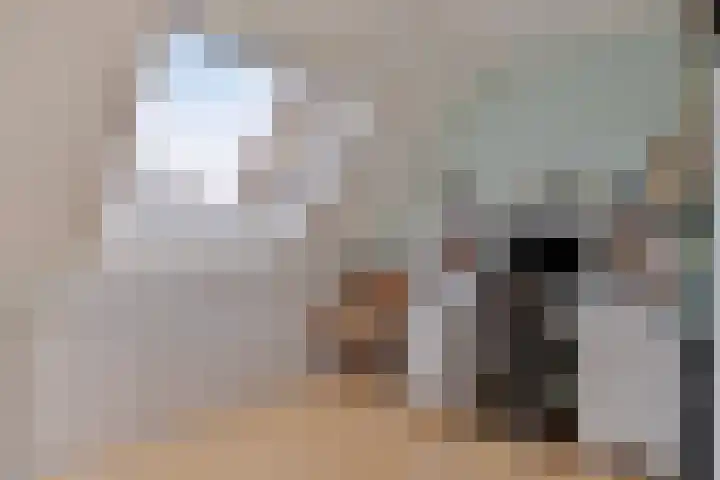 Bronforel 16 Leiden thumbnail 37