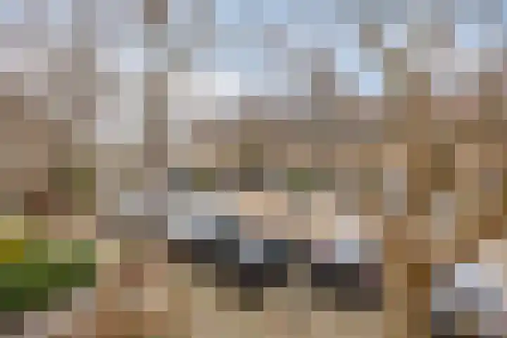 Bronforel 16 Leiden thumbnail 42