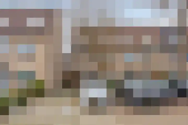 Bronforel 16 Leiden thumbnail 44