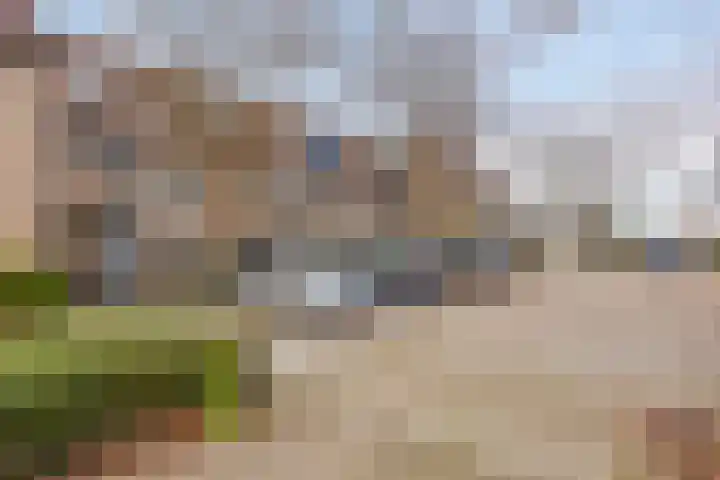 Bronforel 16 Leiden thumbnail 45