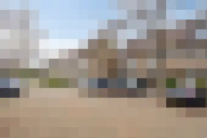 Bronforel 16 Leiden thumbnail 46