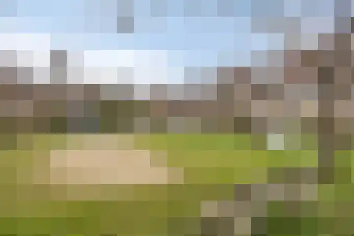 Bronforel 16 Leiden thumbnail 47